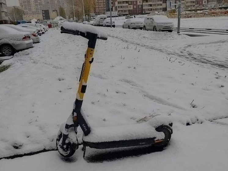 Электросамокаты убирают с улиц Новосибирска