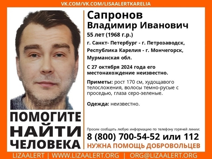 Добровольцы просят жителей Карелии помочь в поисках пропавшего мужчины