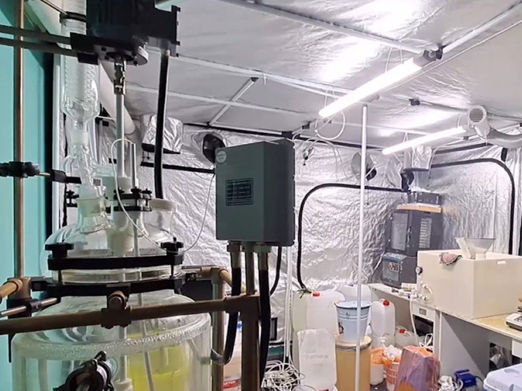 Супруги из Москвы устроили нарколабораторию под Пушкиным