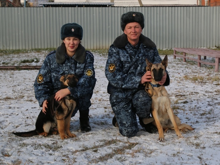 Кинологи УФСИН в Чувашии приняли в свою команду новых щенков служебных собак