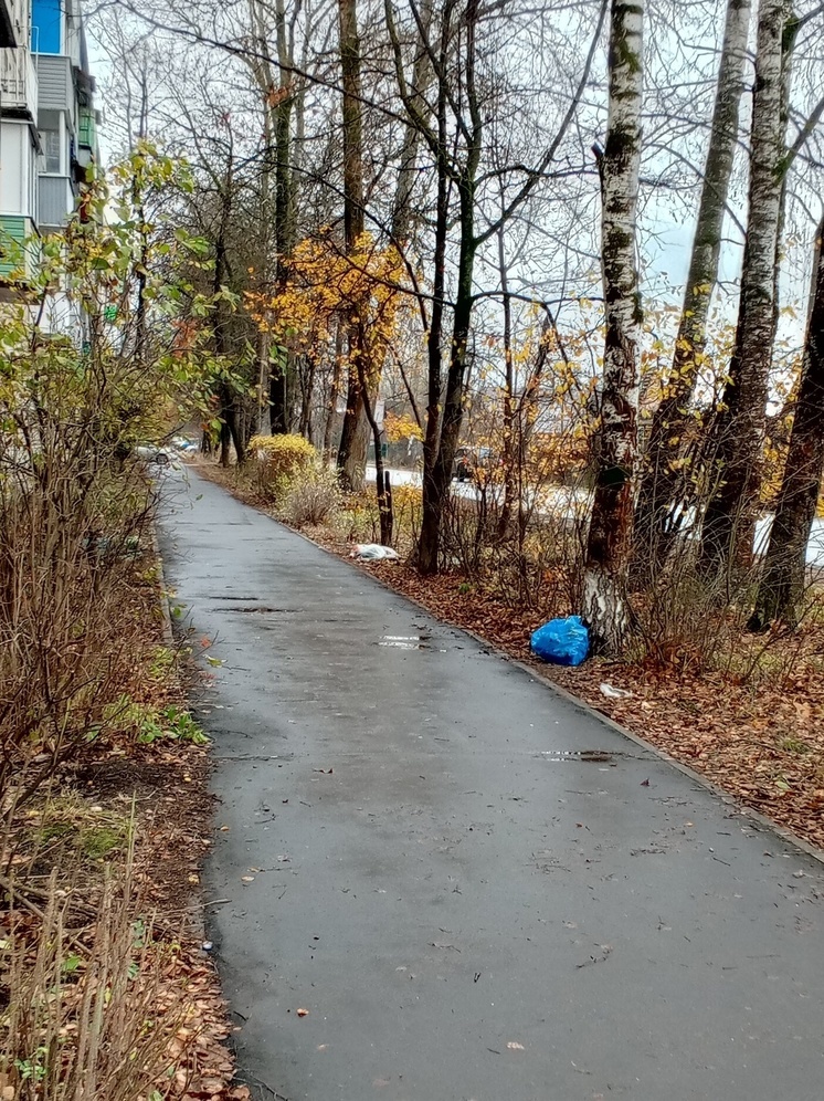 В Тверской области ленивые люди выкидывают мусор рядом с многоквартирным домом