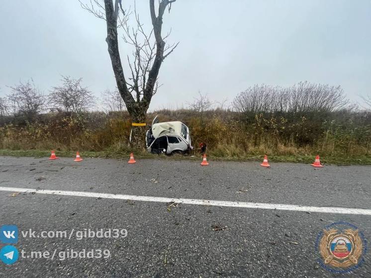 Водитель врезался в дерево в Озерском районе