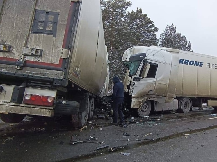 На трассе М5 в Челябинской области погибло два водителя из-за разорвавшейся пополам фуры