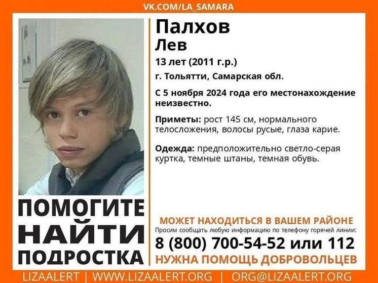 В Самарской области ищут 13-летнего подростка, который пропал 5 ноября 2024 года