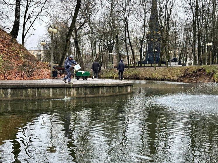 В пруд «Лопатинского сада» добавили 60 литров биологической суспензии хлореллы