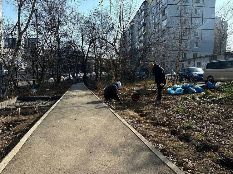 Новую территорию благоустроят во Владивостоке