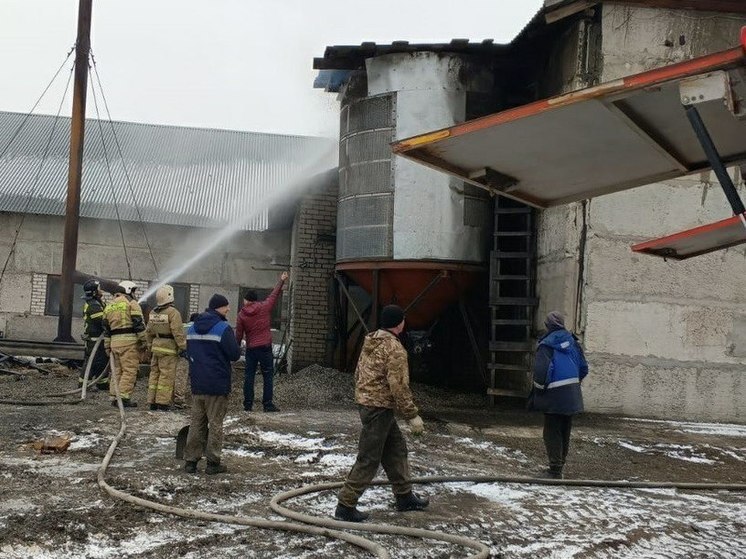 В Алтайском крае загорелся маслозавод