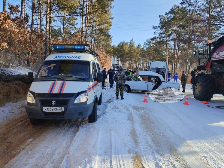 Три человека погибли под колесами комбайна в Амурской области