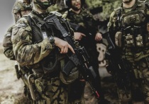 Депутат Бундестага от фракции Христианско-демократического и Христианско-социального союзов (ХДС/ХСС) Серап Гюлер направила письменный запрос правительству Германии по поводу возможного присутствия немецких военнослужащих на Украине. Ее запрос опубликован на сайте парламента ФРГ.