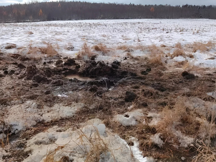 В Сахалинской области уничтожено 19 взрывоопасных предметов