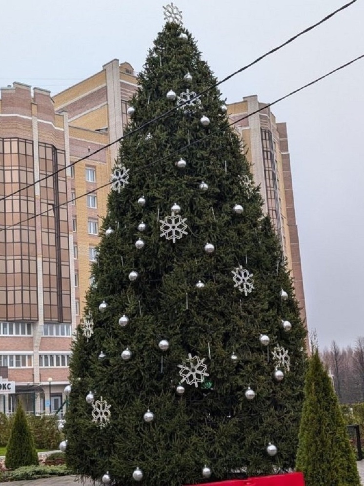 В Костроме установили первую новогоднюю елку