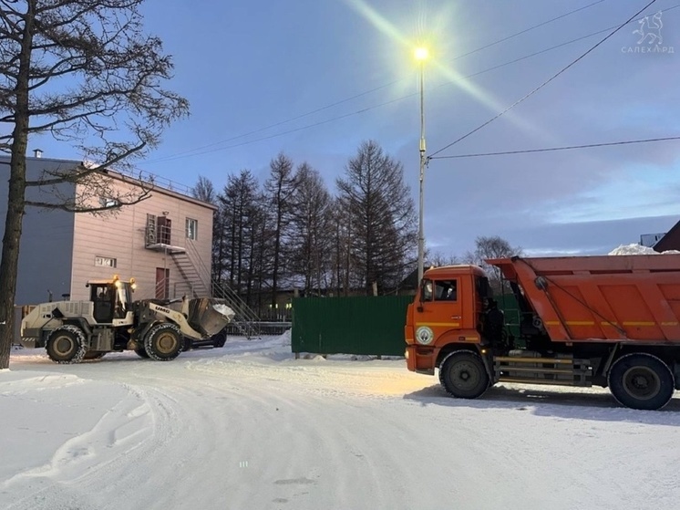 Зеленую изгородь в Салехарде защитят от снегоуборочной техники