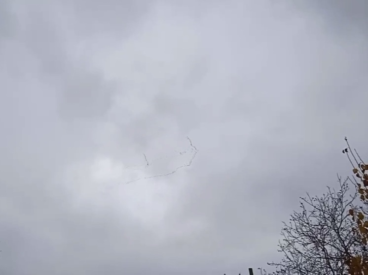 На видео попала стая перелетных птиц в Волгограде