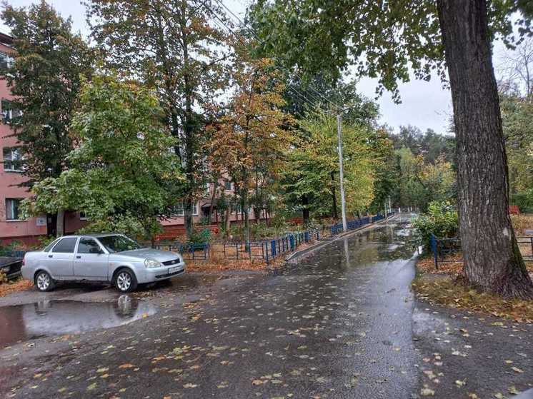 В Курской области сегодня ожидается дождь при +4 градусах