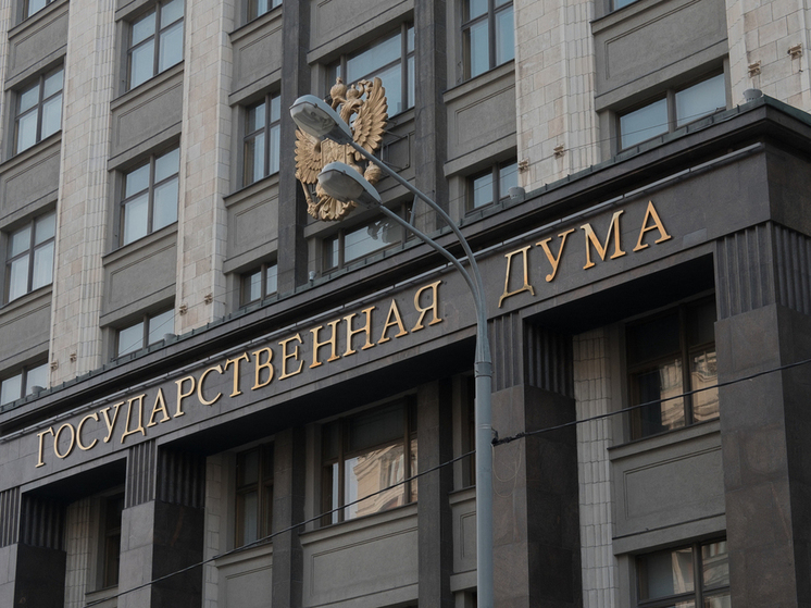 В Госдуме предложили ввести «лодочную амнистию»