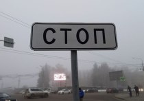 11 ноября в Алтайском крае участок Чуйского тракта перекроют из-за движения военных колонн. Об этом сообщает региональная Госавтоинспекция.
