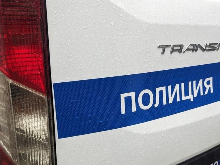 В Подпорожском районе нашли возле заброшенного дома обглоданные женские ноги