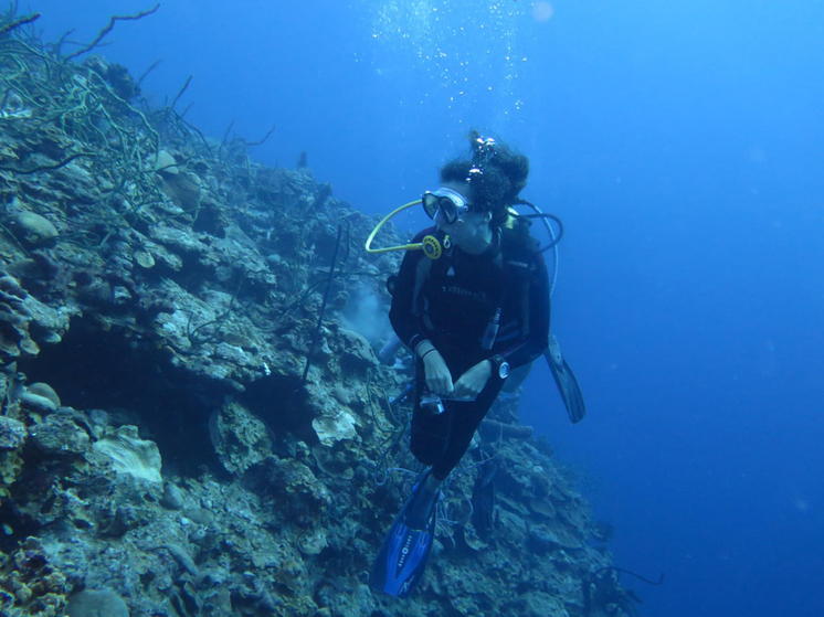 В МГУ проанализировали болезнь обитателей субтропиков
