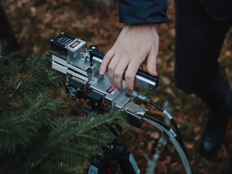 На Урале второй сезон высаживают коноплю: влияет на выбросы в атмосферу