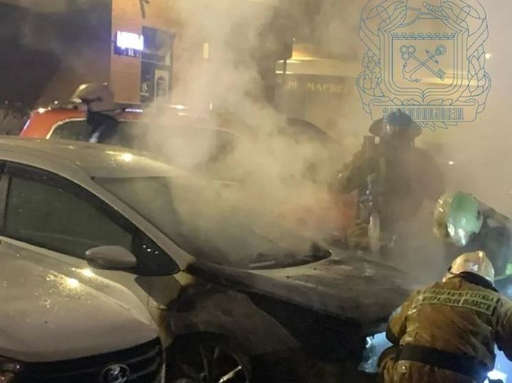 Пожарные в Ленобласти спасли пенсионерку, 4 козы, 7 кур, 5 кроликов, 4 собаки, 3 кошки