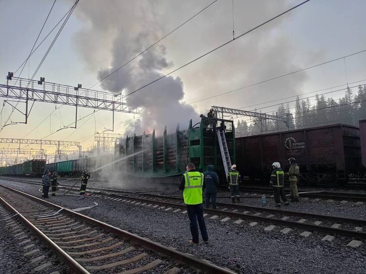 В Выборгском районе загорелся грузовой вагон с древесиной