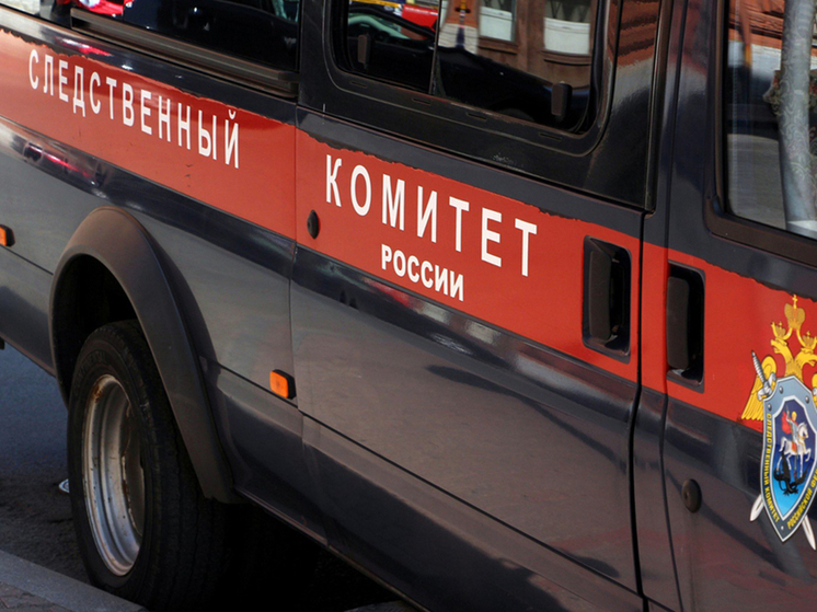 Следком заинтересовался видео, которые записали девушки из Владимирской области возле «Крокус Сити Холла»