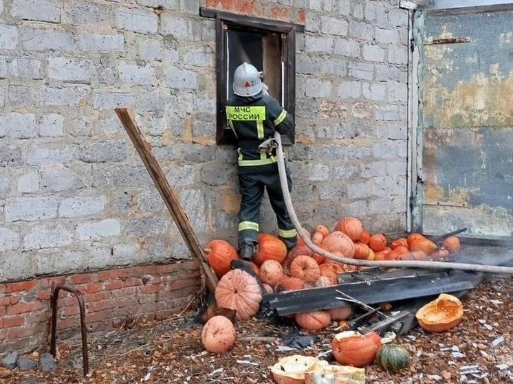 В Тросне горели гараж и стоящий в нём автомобиль
