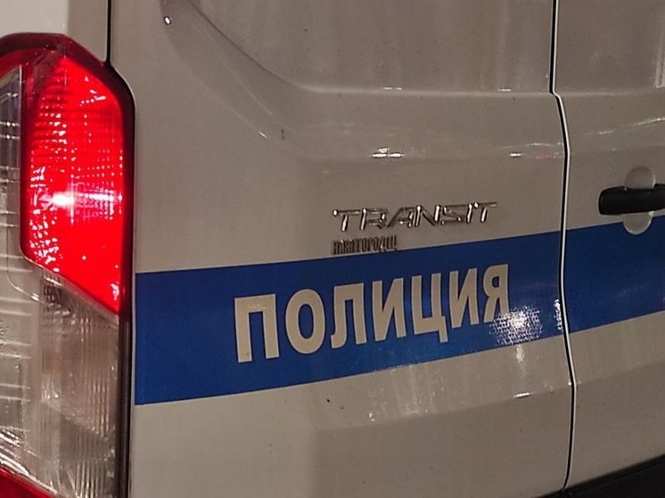 В канаве во Всеволожском районе нашли сумку с человеческими останками