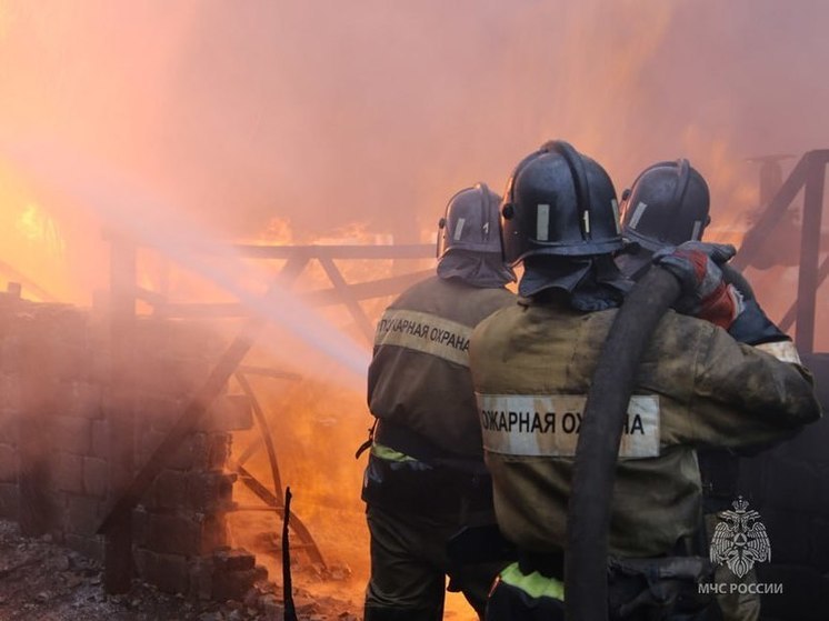 В Горловке при пожаре едва не погибли два человека