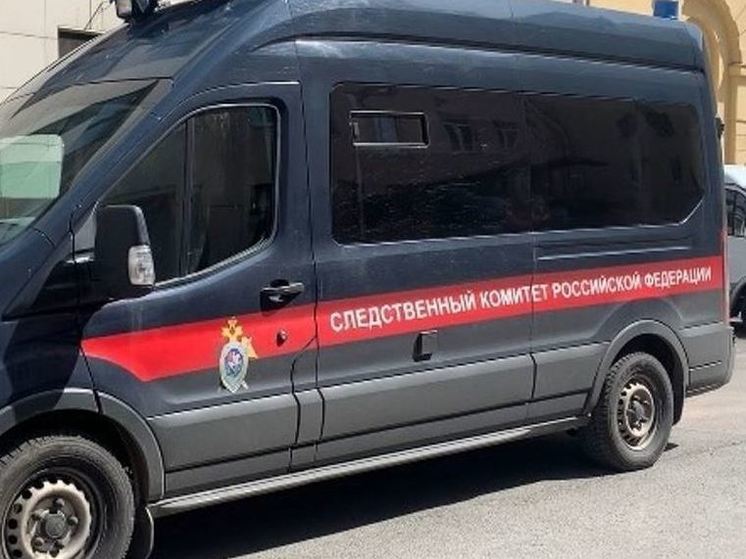 Следком47: в сумке, найденной во Всеволожском районе, было женское тело