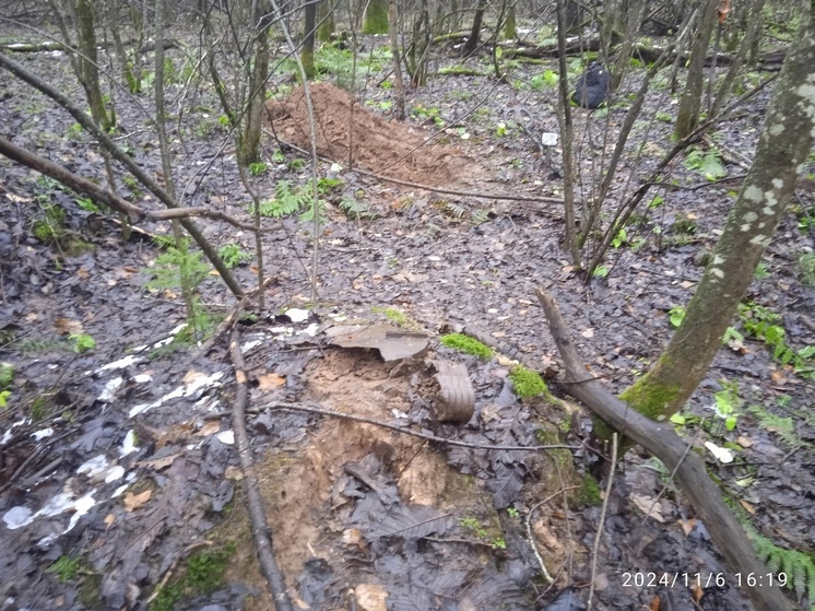 В Тверской области поисковики нашли останки двух неизвестных красноармейцев