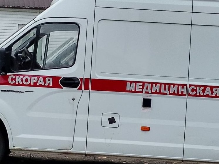 В Мурино собака без намордника напала на даму с собачкой
