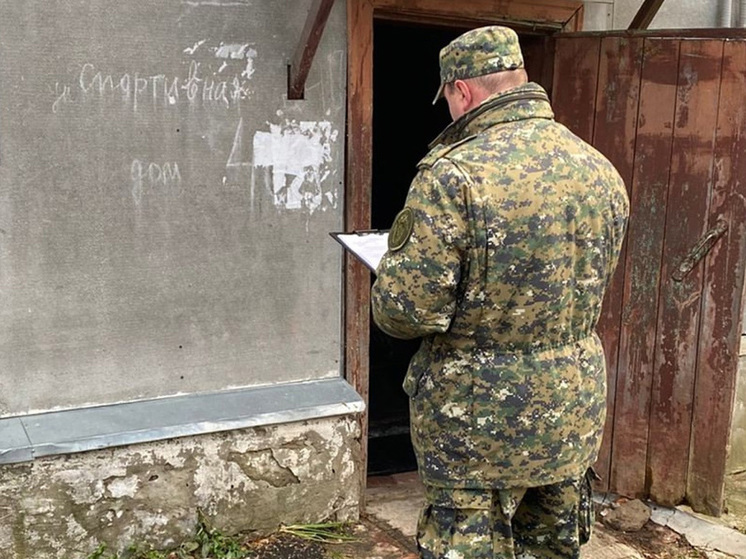 Житель Тамбовской области забил знакомого подлокотником от дивана