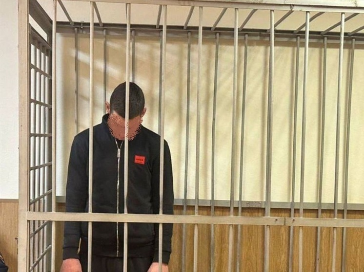 Водителя, сбившего ребенка в поселке имени Морозова, взяли под стражу