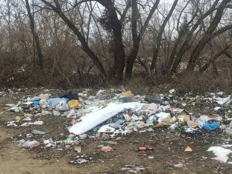 В Тамбовской области в прибрежной зоне рек обнаружены стихийные свалки