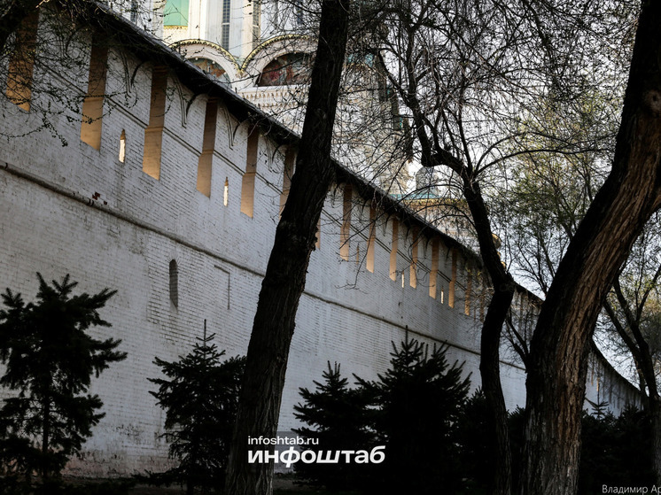 Синичкин день: народные приметы и что запрещено делать 12 ноября