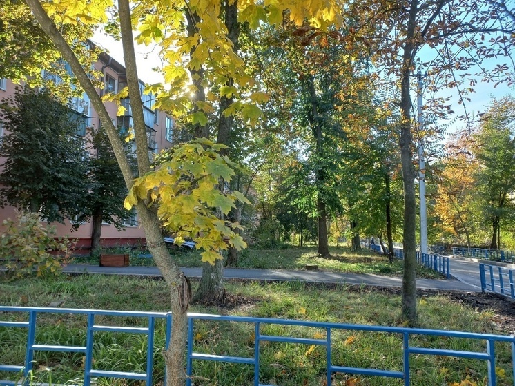 В Курской области 13 ноября ожидается околонулевая температура и без дождя