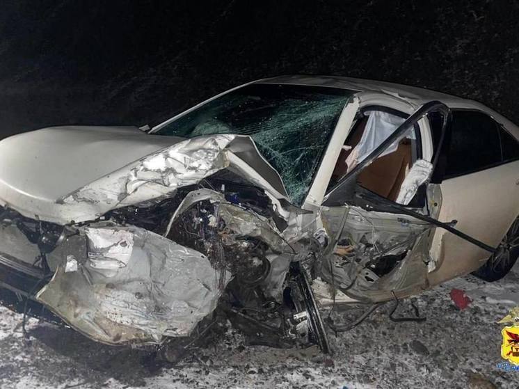 Уголовное дело возбудили по смертельному ДТП в Забайкалье