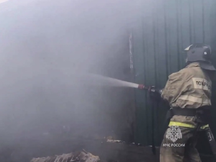 В ДНР при пожаре погибли 15 свиней