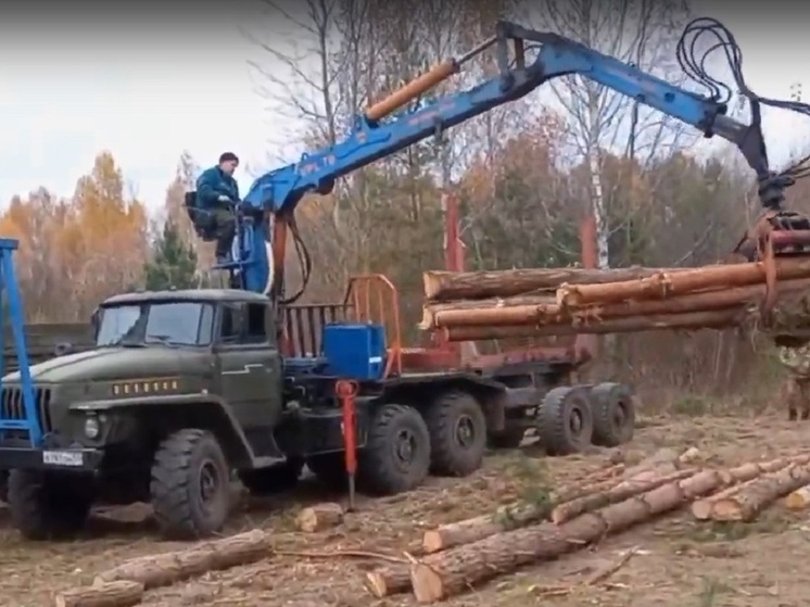 На харьковское направление Орловщина отправила 100 кубов кругляка