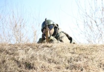 Военный эксперт, подполковник Луганской Народной Республики (ЛНР) в отставке Андрей Марочко в беседе с ТАСС заявил, что подразделениям ВС РФ удалось закрепиться на окраинах села Терны в Донецкой Народной Республике (ДНР).