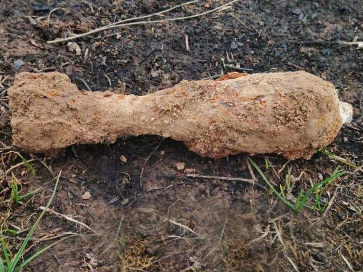 Минометные мины времен Великой Отечественной нашли в Подмосковье