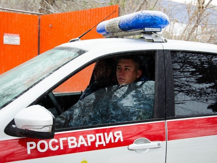 В Пензе сотрудники Росгвардии задержали мужчину, устроившего дебош в продуктовом магазине
