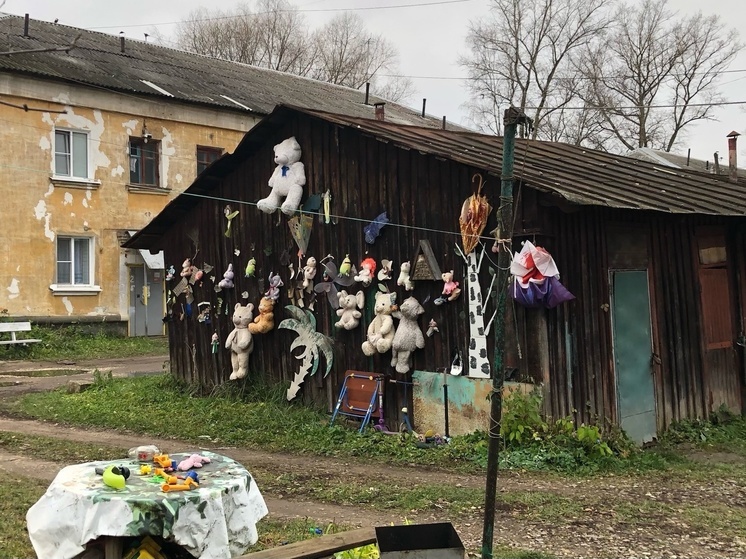 В Тверской области нашли «кладбище» домашних игрушек