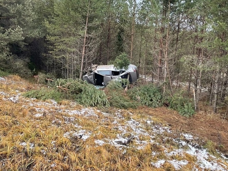 Водитель без прав оказался в кювете в Кичменгско-Городецком округе