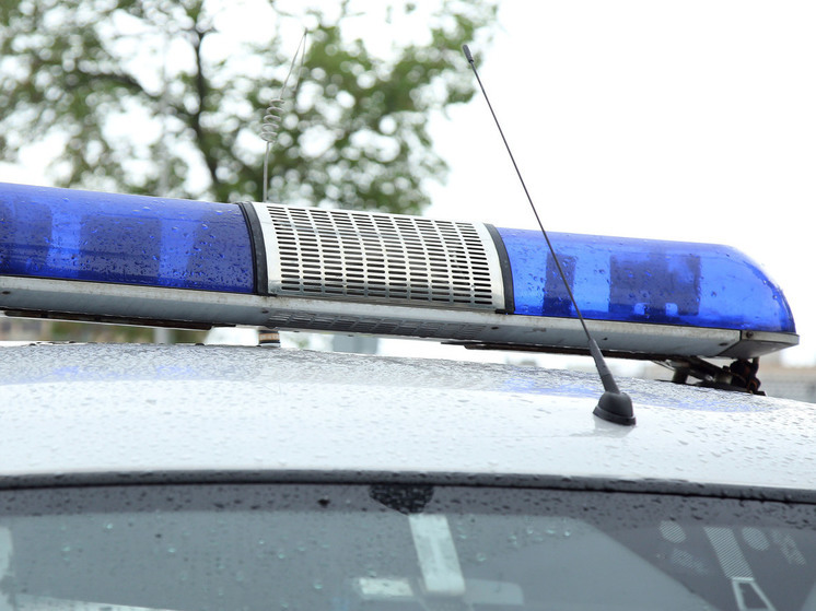 Против родителей блогерши завели уголовку после видео из Красногорска