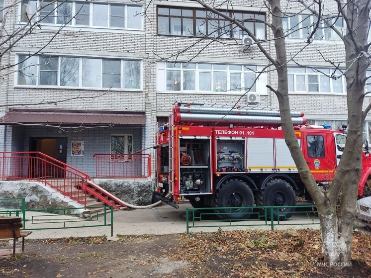 Владимирские пожарные тушили пожар на улице Добросельской