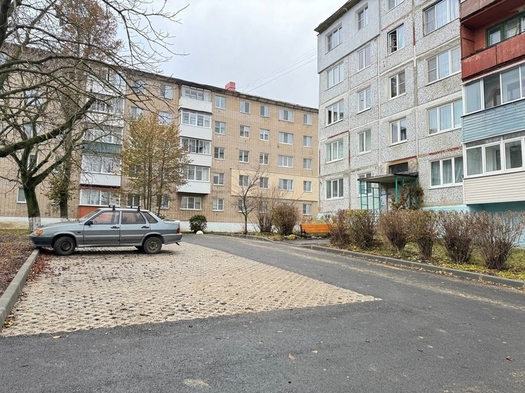 На улице Трудовой проезд в Новомосковске стало больше благоустроенных дворов