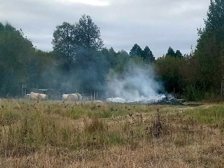 В Брянской области полиция задержала поджигателя