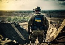 Председатель комиссии Общественной палаты РФ по вопросам суверенитета Владимир Рогов предупредил в беседе с aif.ru о страшных последствиях удара ВСУ по дамбе в Васильевке Запорожской области